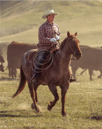 The Cowboys : The Marbled Meat Club