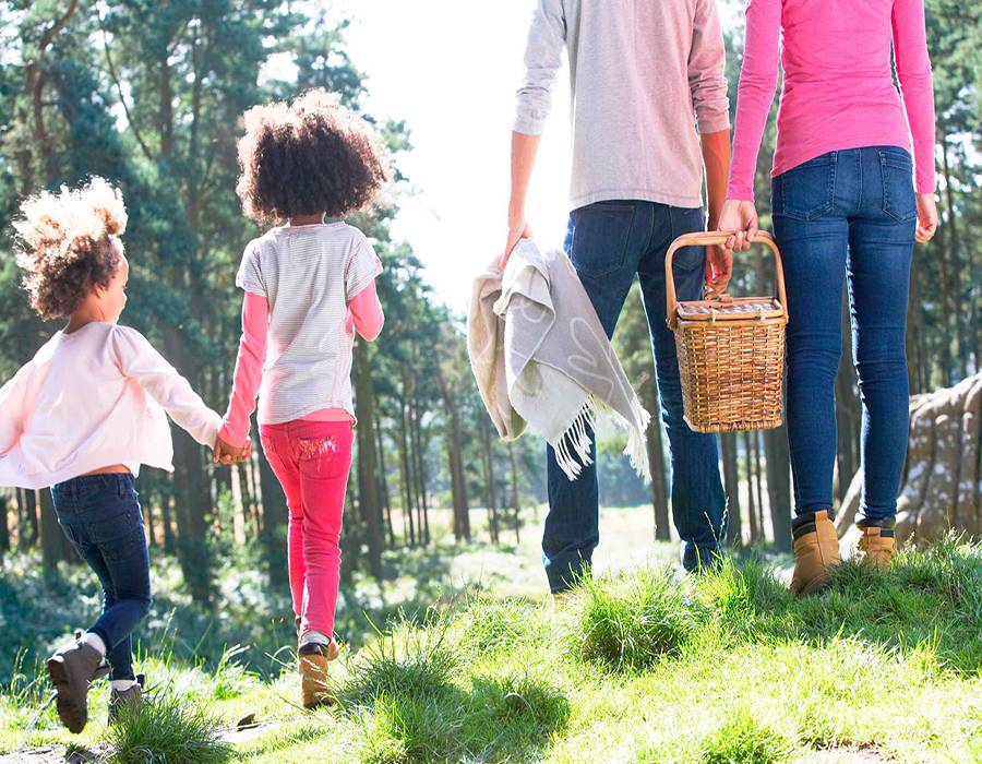 picnic with family