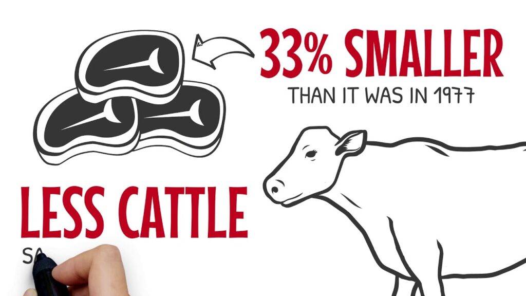 less cattle