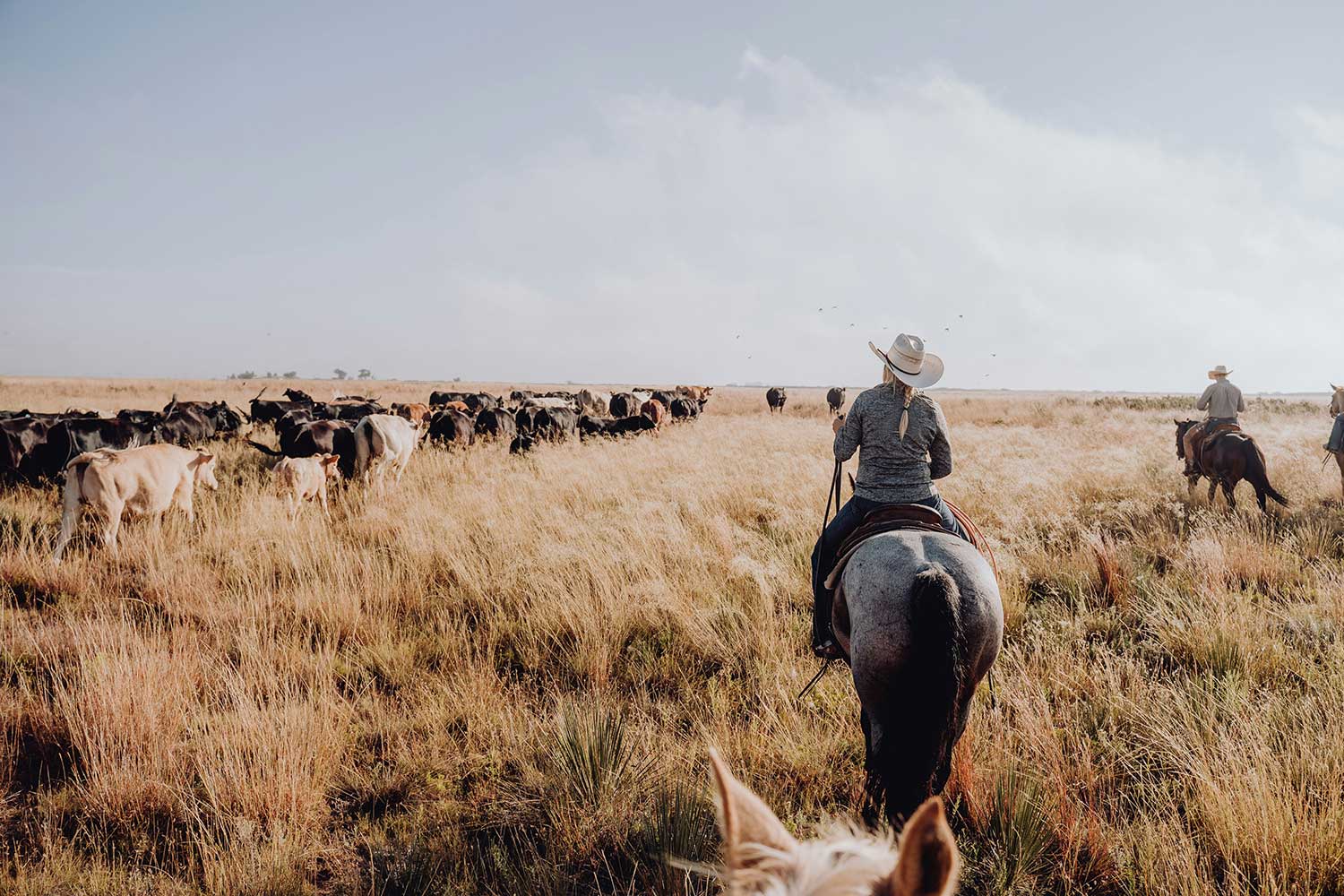 bailey-alexander-UsIH5HIHvbE-unsplash